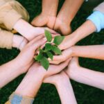 Green Plant on People's Hands